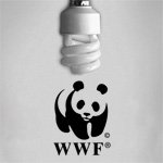       WWF